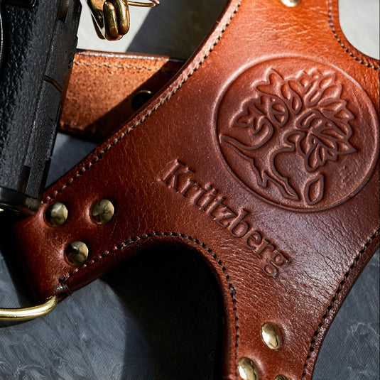 Stabile Lederrückenplatte des Zeithalter DUO im Streiflicht mit angedeuteter Kamera im Bildrand.